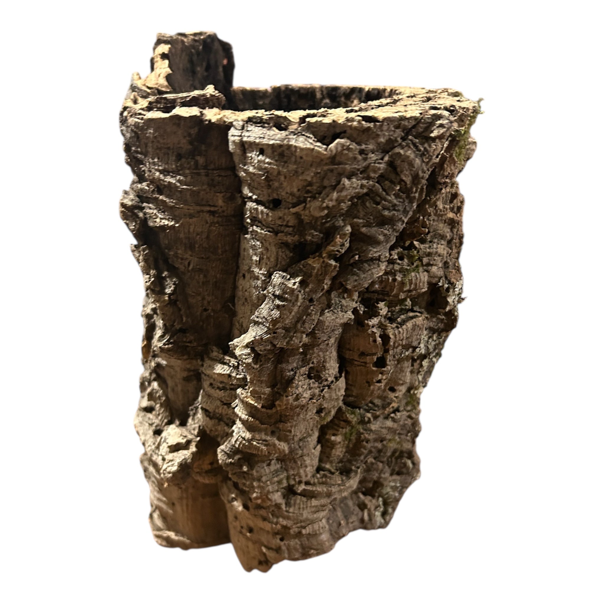 Kit Arredo - Pitone Reale