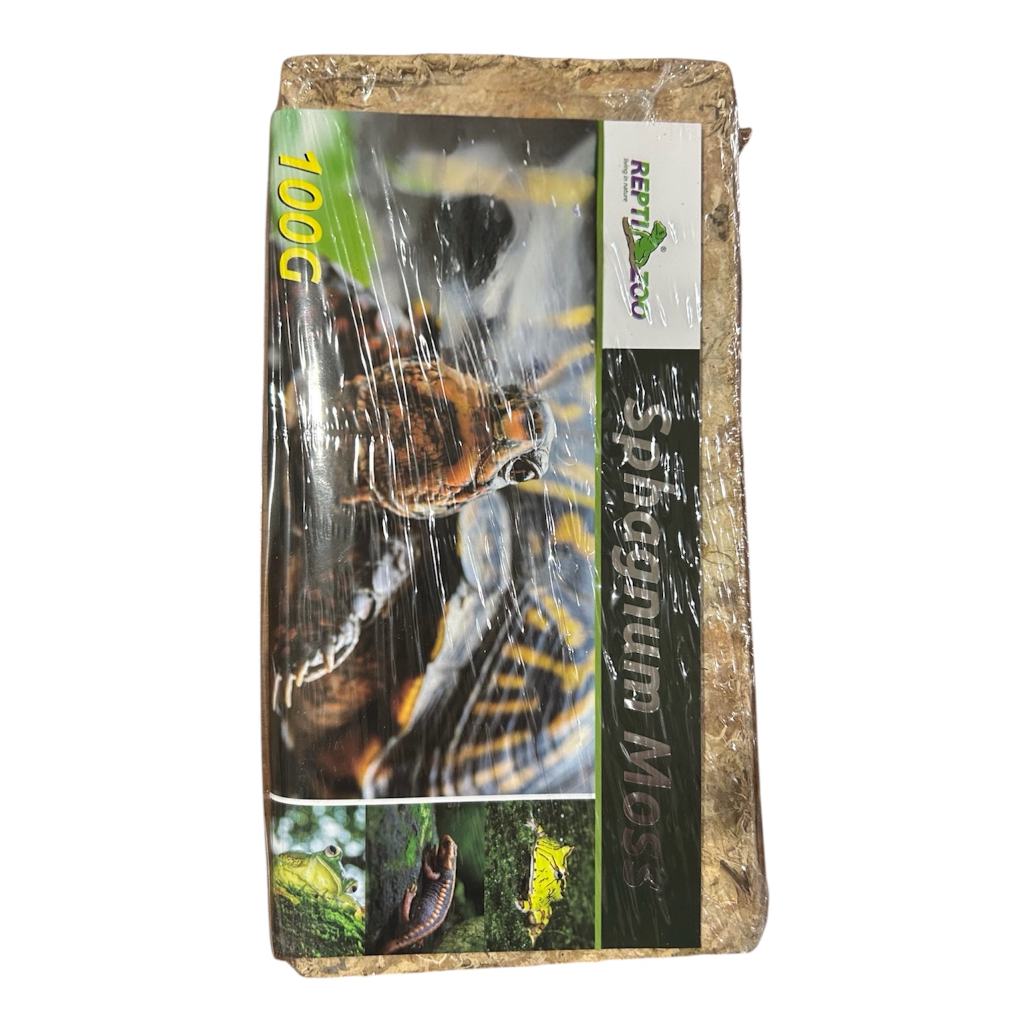 Kit Ricorrente - Geco Ciliatus