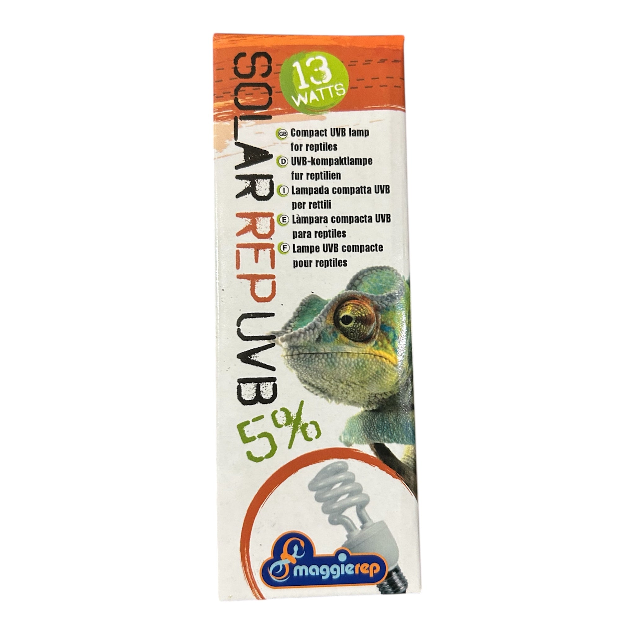 Kit Elettrico - Geco Ciliatus