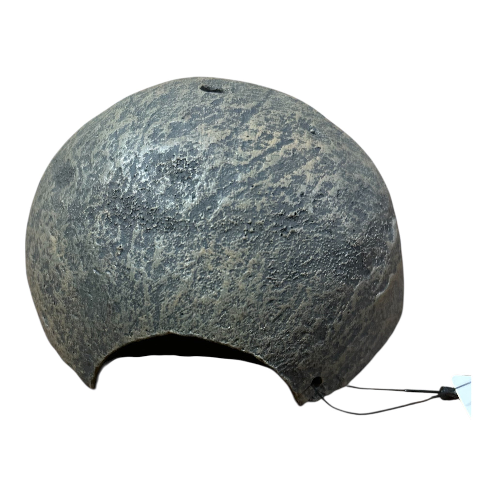 Kit Arredo - Geco Ciliatus