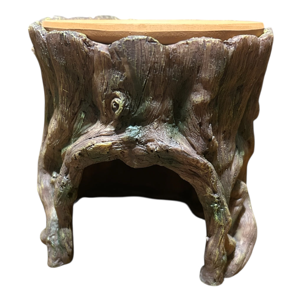 Kit Arredo - Pitone Reale